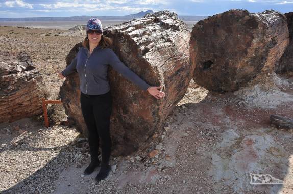 Passeio no Monumento Natural Bosques Petrificados, região de Caleta Olivia, no sul da Argentina